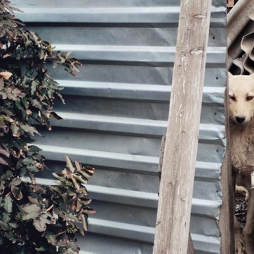 Photo #5100506