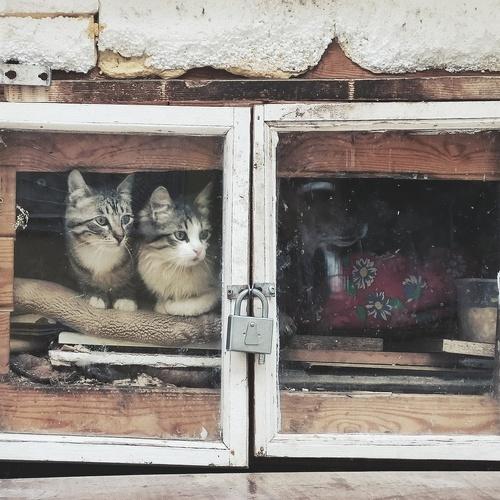 Photo #5100508