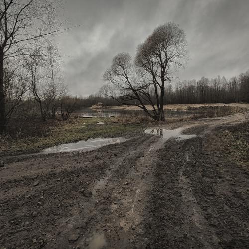 Photo #5100718