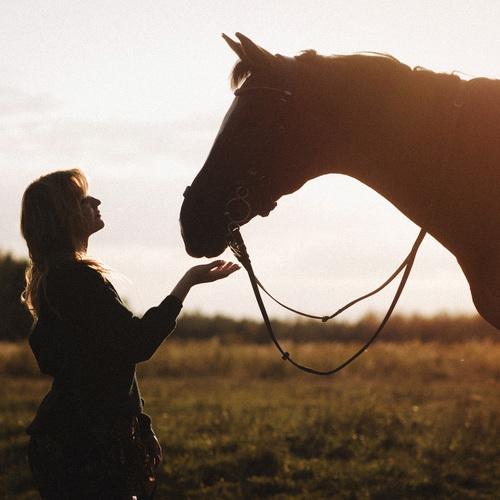Photo #5100770