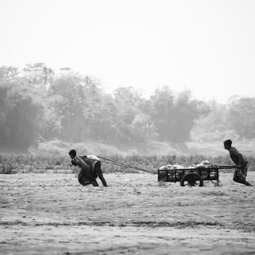 Photo #5100853