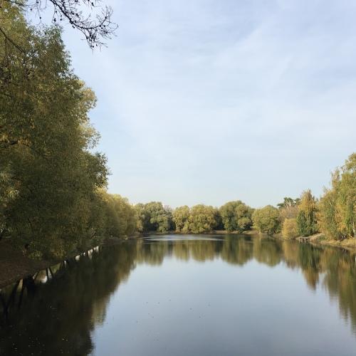 Photo #5100857