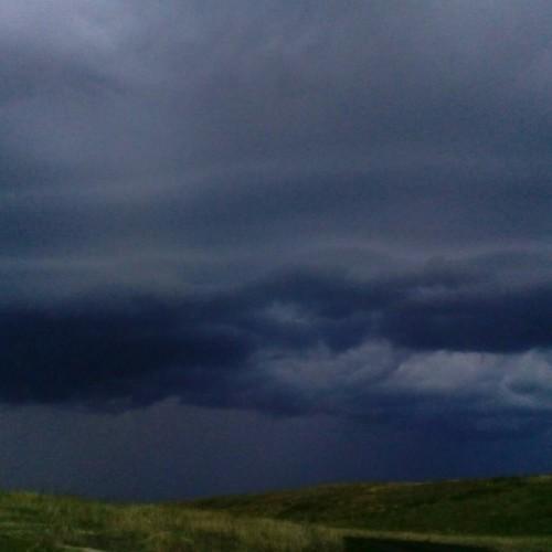 Photo #5100881