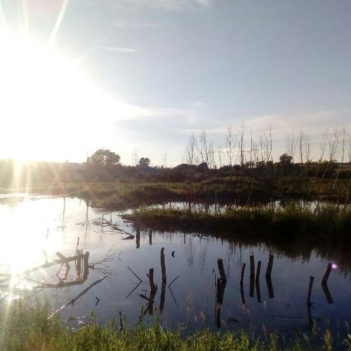 Photo #5100882