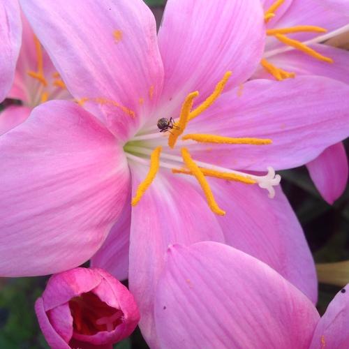 Photo #5100910