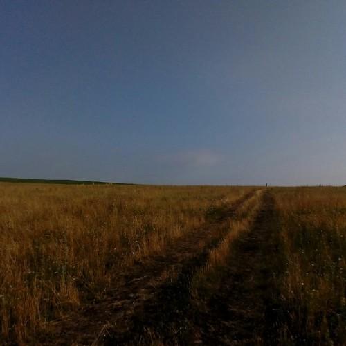 Photo #5101153