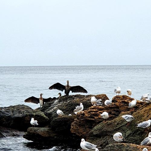 Photo #5101444