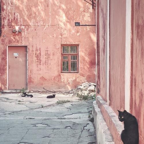 Photo #5101802