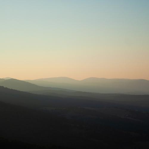 Photo #5101856