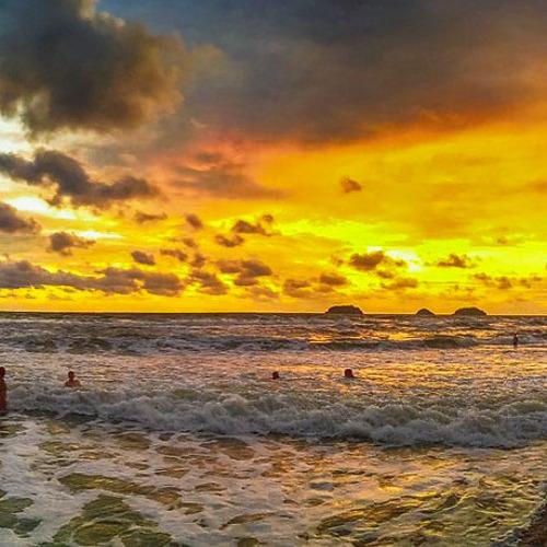 Photo #5102655