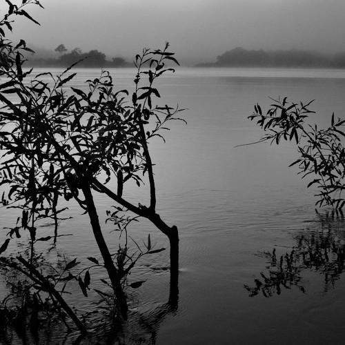 Photo #5102824