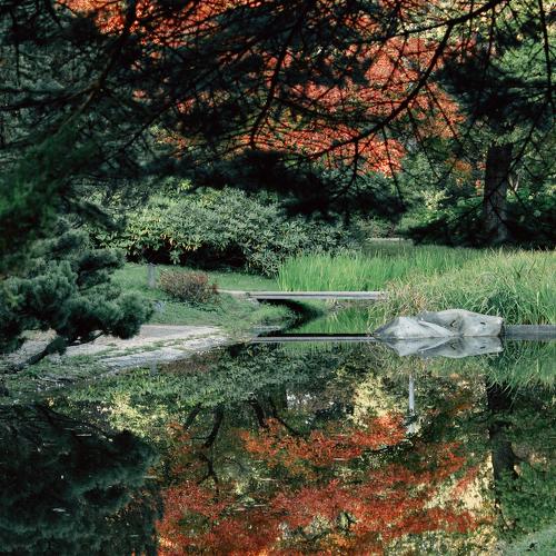 Photo #5103026