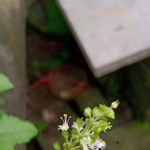 Photo #5103068