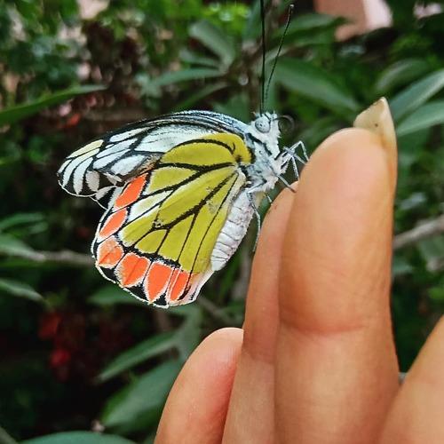 Photo #5103078
