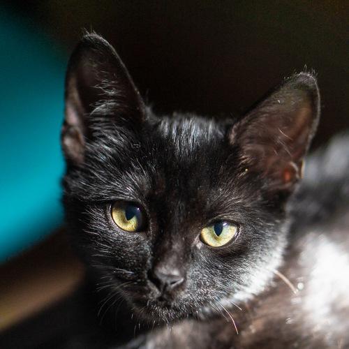 Photo #5103115