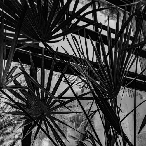 Photo #5104330