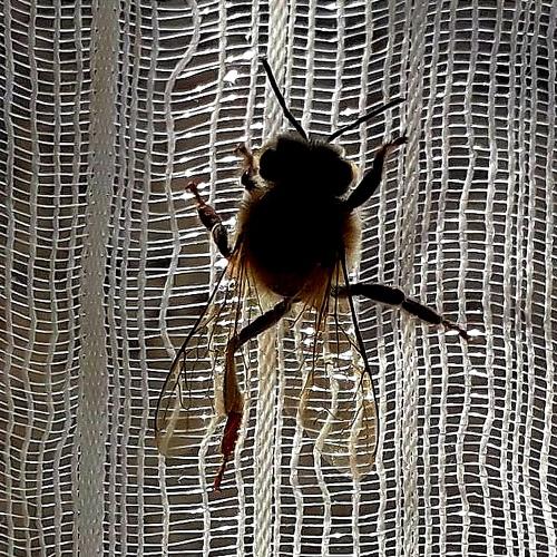 Photo #5104593