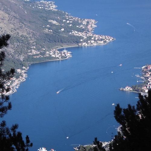 Photo #5104710
