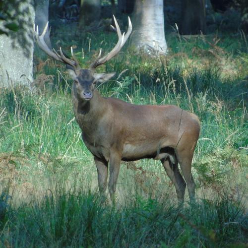 Photo #5104984