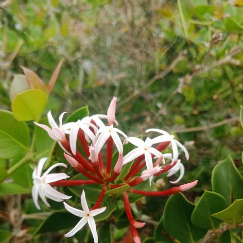 Photo #5105514