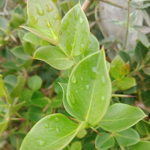 Photo #5105521