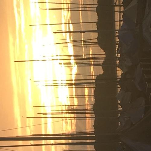 Photo #5105725