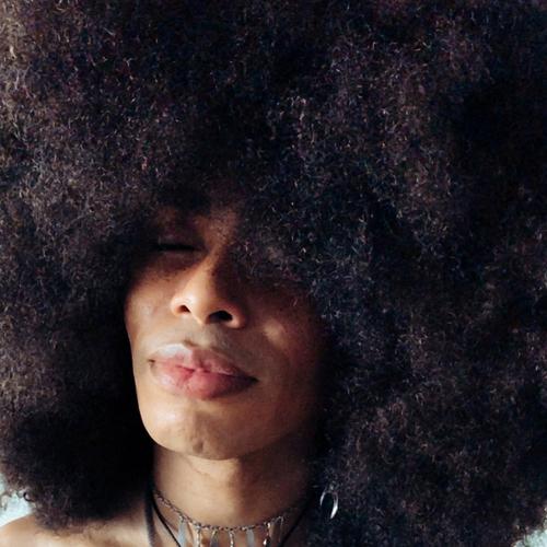 Photo #5105744