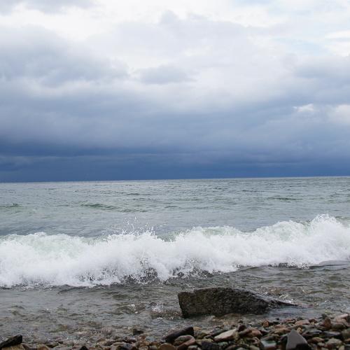 Photo #5105750
