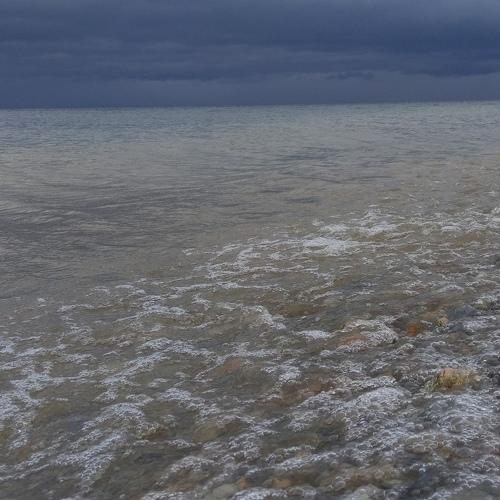Photo #5105868