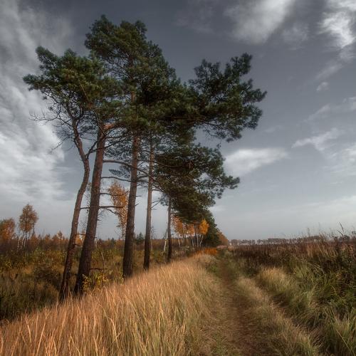 Photo #5105905