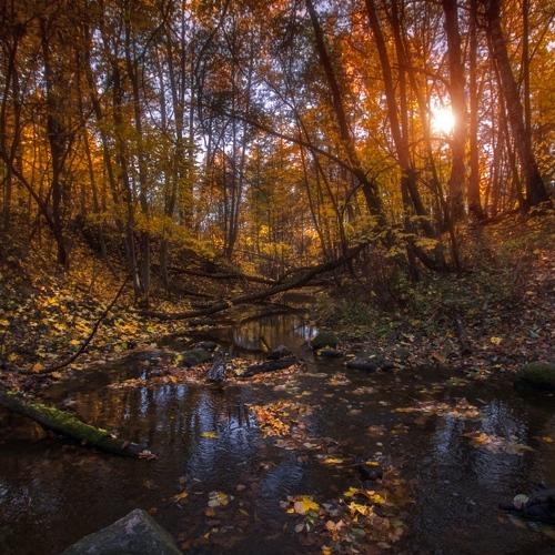 Photo #5105951