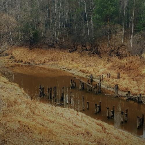 Photo #5106955