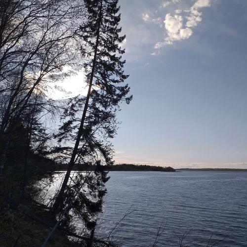 Photo #5107284