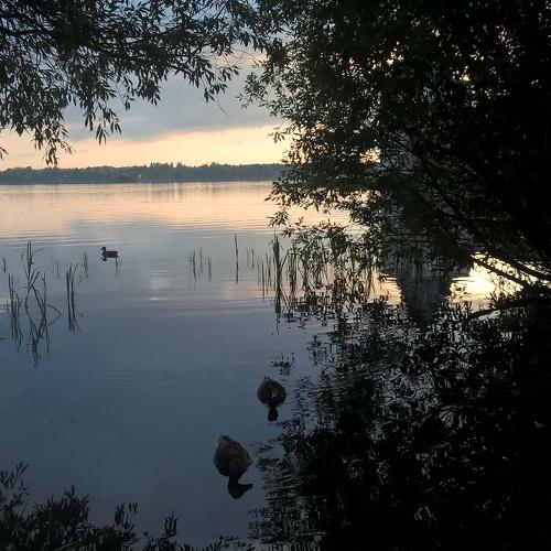 Photo #5107340