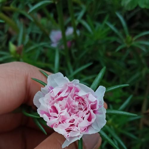 Photo #5107379