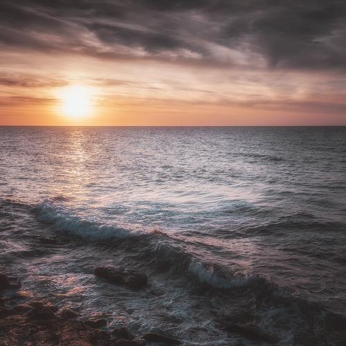 Photo #5107470