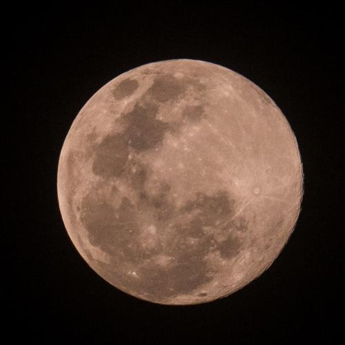 Photo #5107511