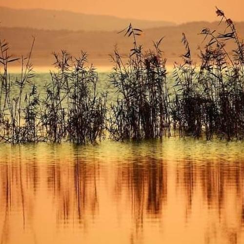 Colors of lake