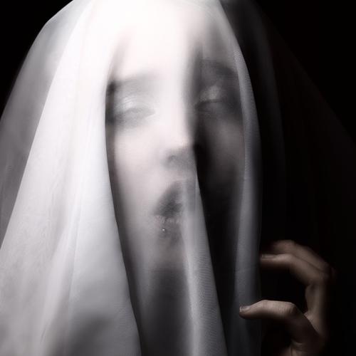 Photo #5108101