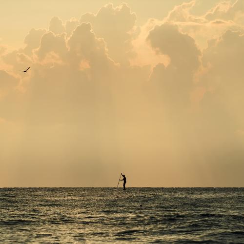 Photo #5108461