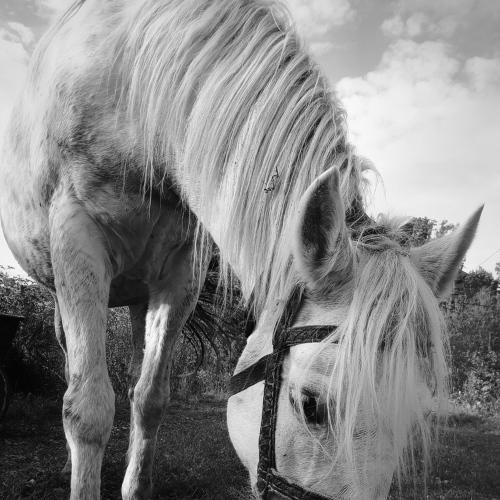 Photo #5108886