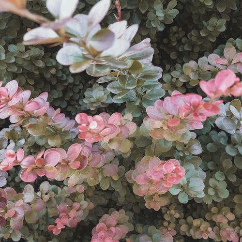 Photo #5108959