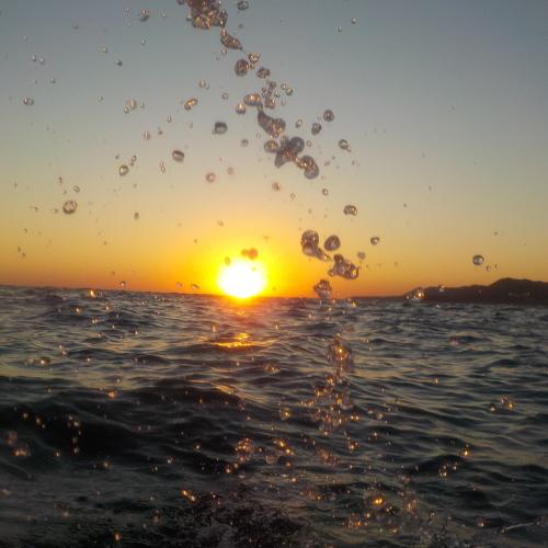Photo #5109123