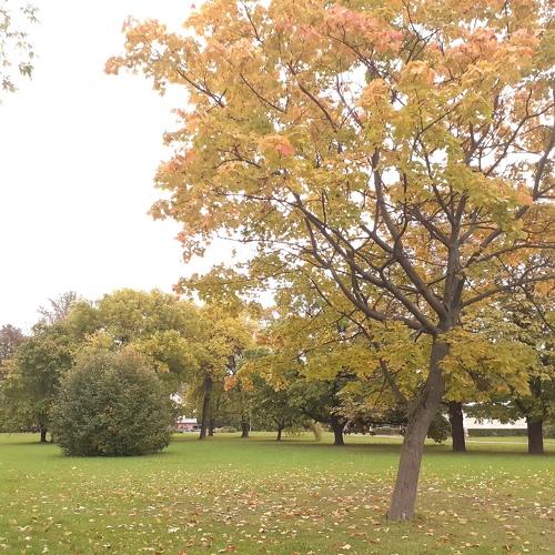 Photo #5109176
