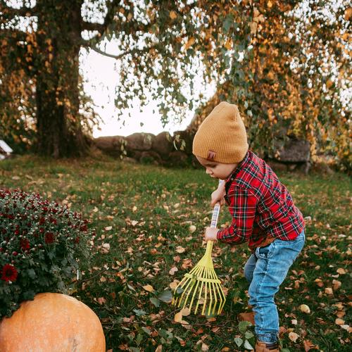 Photo #5110182