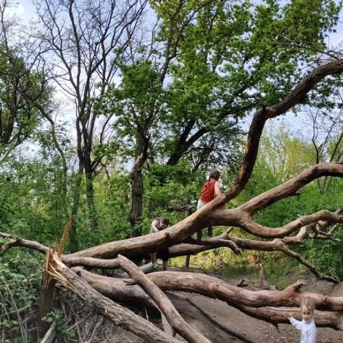 Photo #5110221