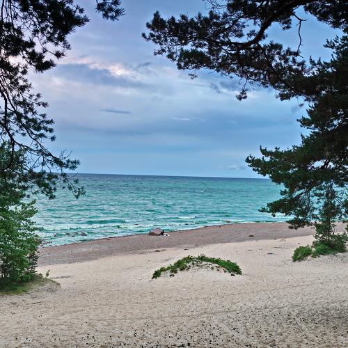 Photo #5110602