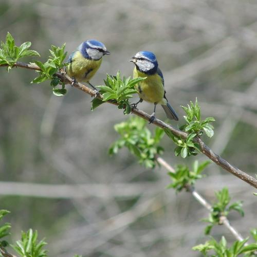 Photo #5110838