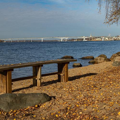 Photo #5110854