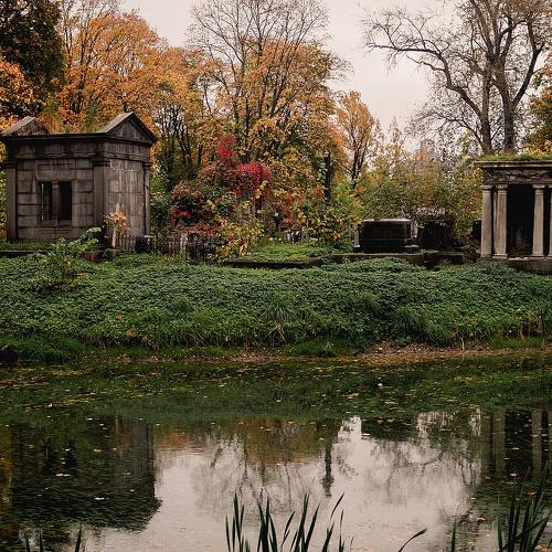 Photo #5110929